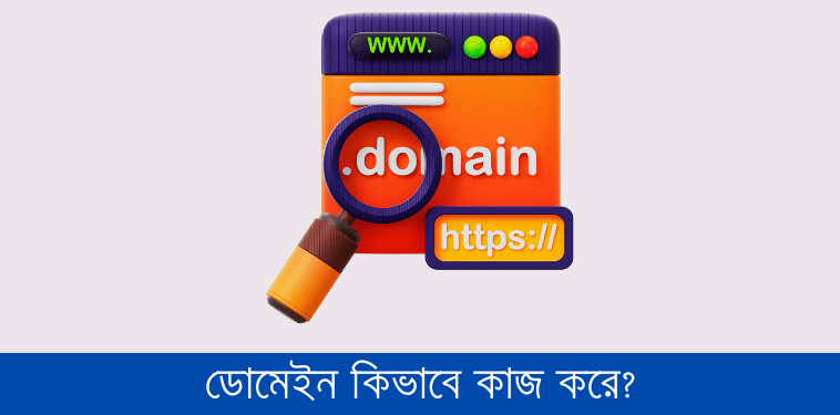 ডোমেইন কিভাবে কাজ করে