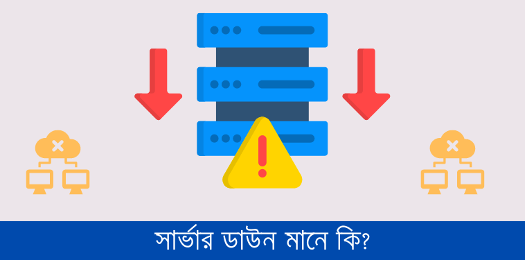 সার্ভার ডাউন মানে কি?